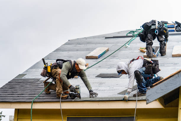 Professional Emergency Roof Repair technician working in Brookline Village, MA